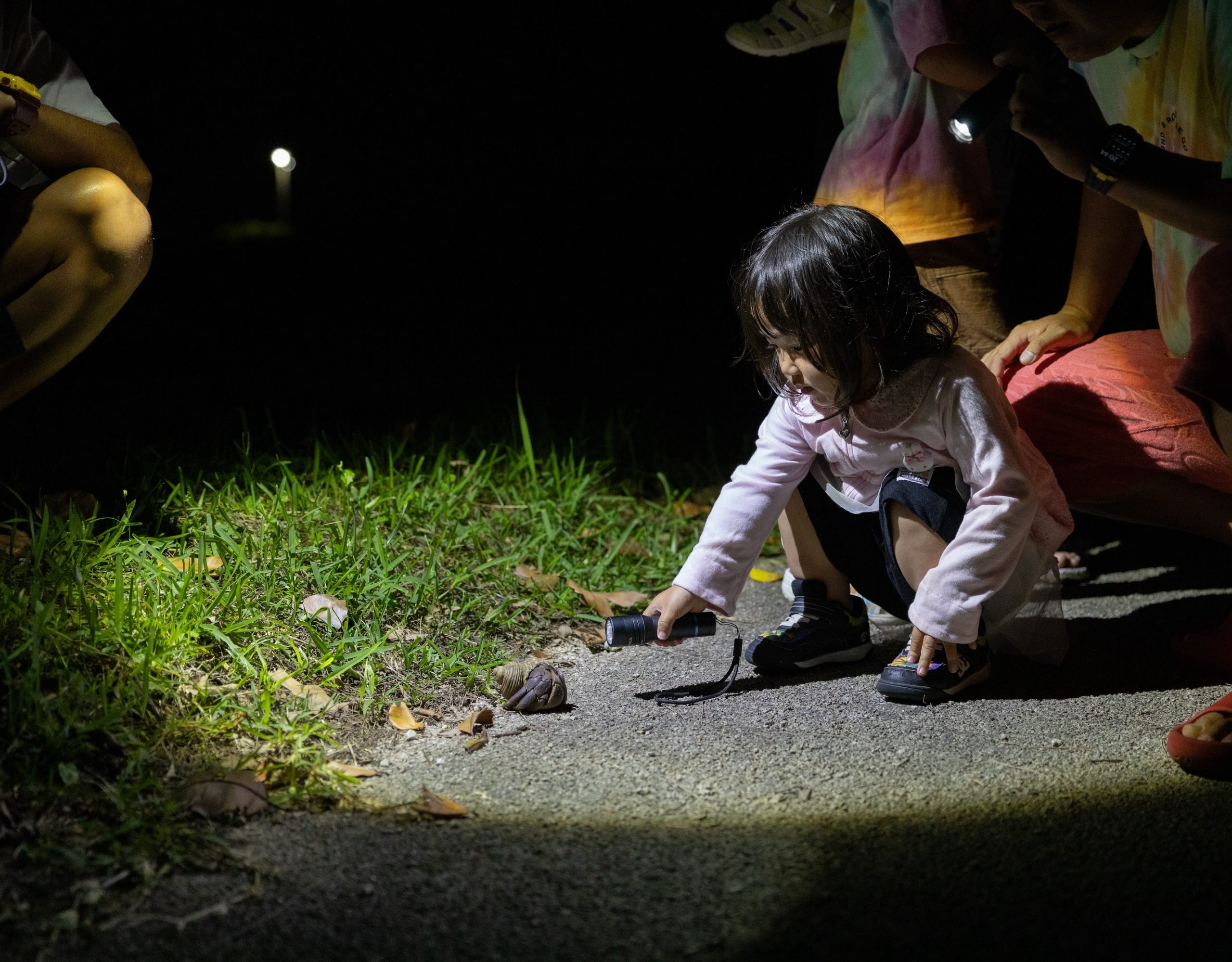 夜のジャングル探検