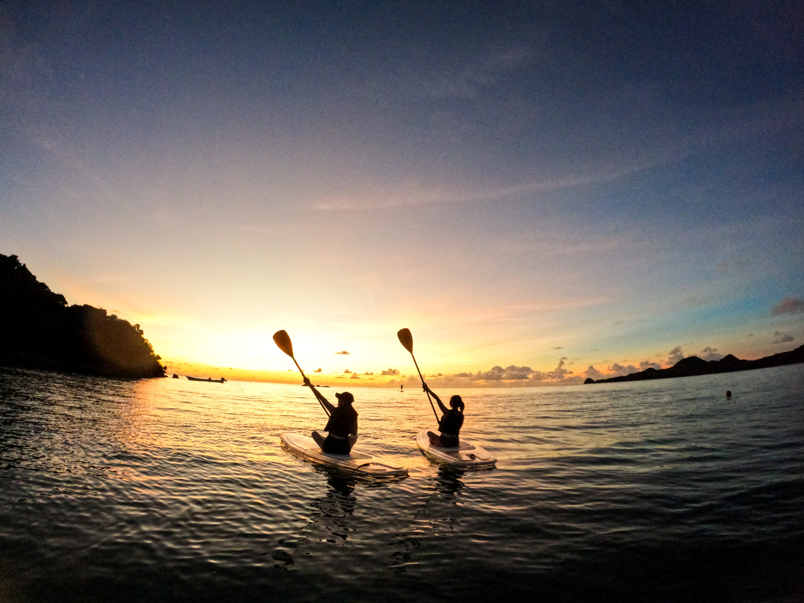 ウミガメとの遭遇