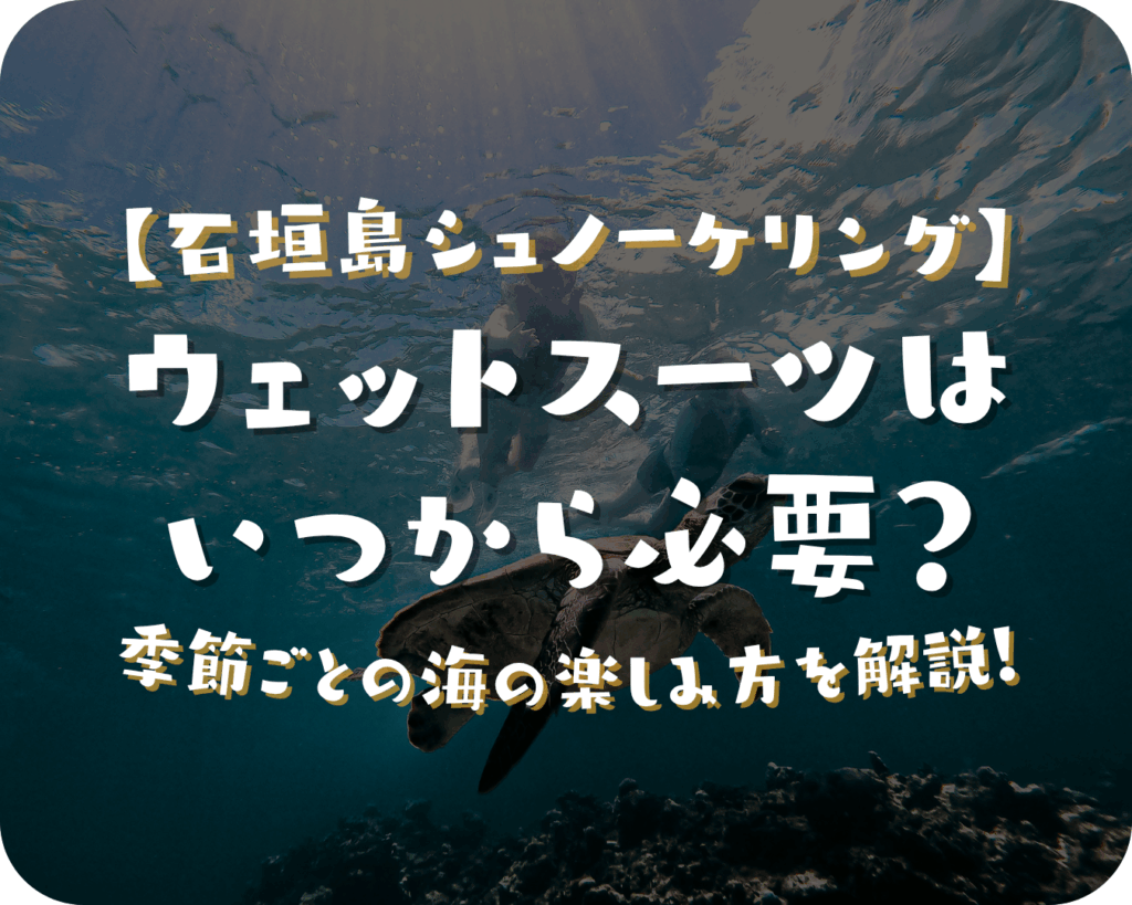 石垣島シュノーケリング｜ウェットスーツはいつから必要？季節ごとの海の楽しみ方を現地スタッフが解説！