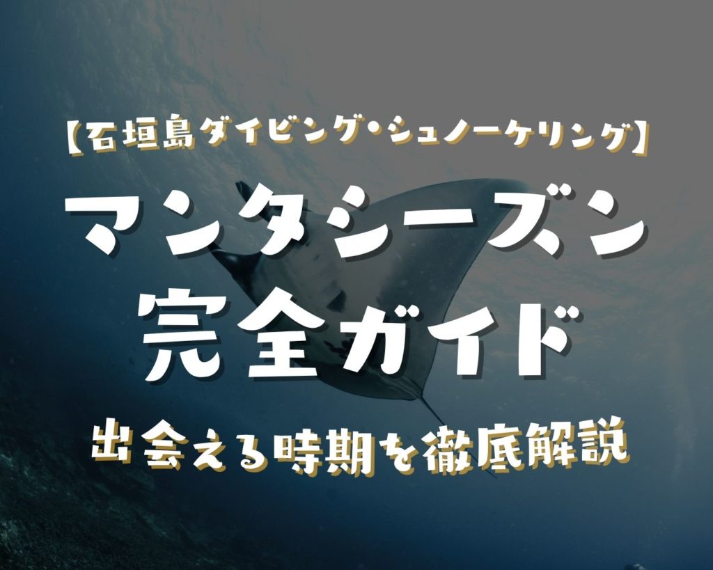 石垣島のマンタシーズン完全ガイド｜ダイビングとシュノーケリングで出会える時期を徹底解説