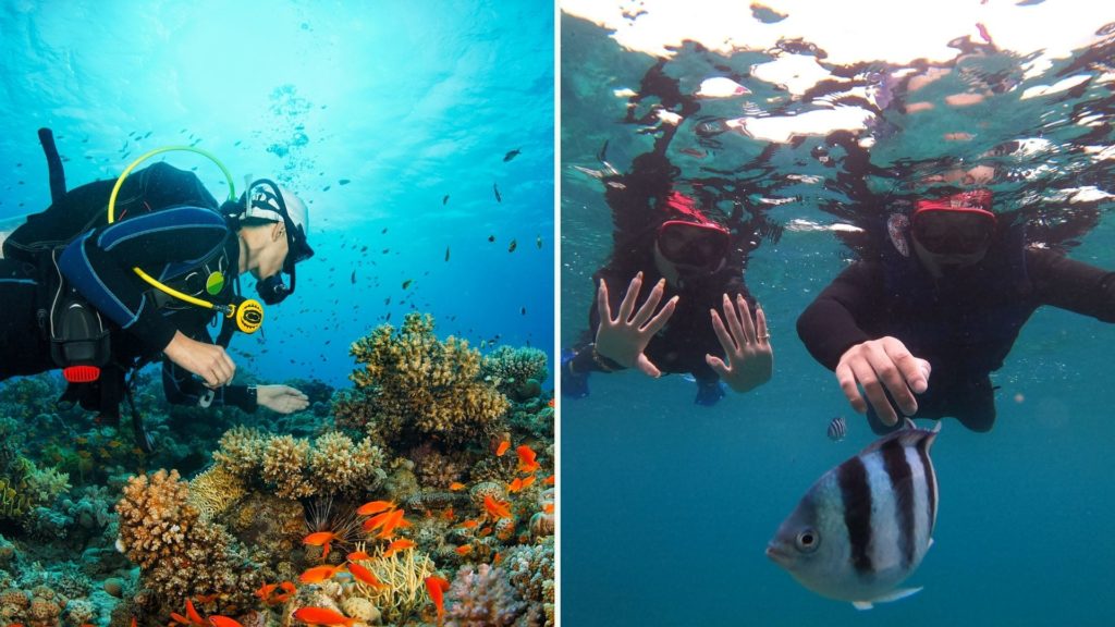 体験ダイビング・ファンダイブ・シュノーケリングの違い