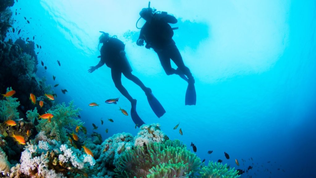 【ダイビング編】7〜10月がベストシーズン