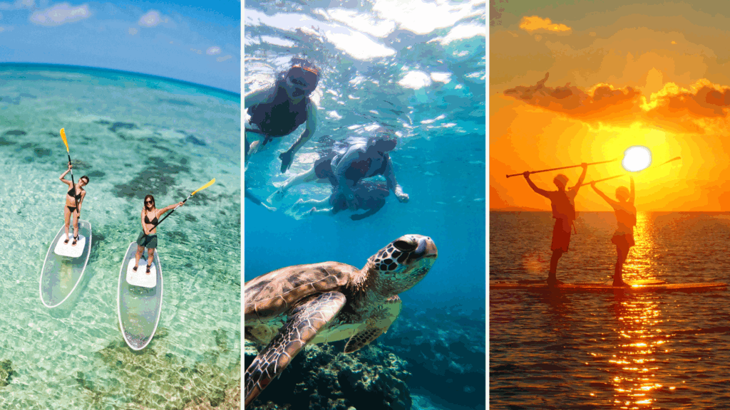 14石垣島の海も楽しんでみませんか？