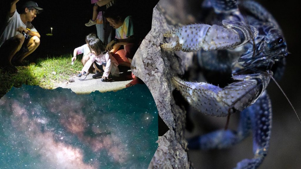 サンセットと一緒に楽しめる過ごし方