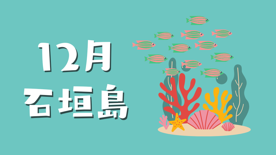 12月の石垣島|冬の入り口