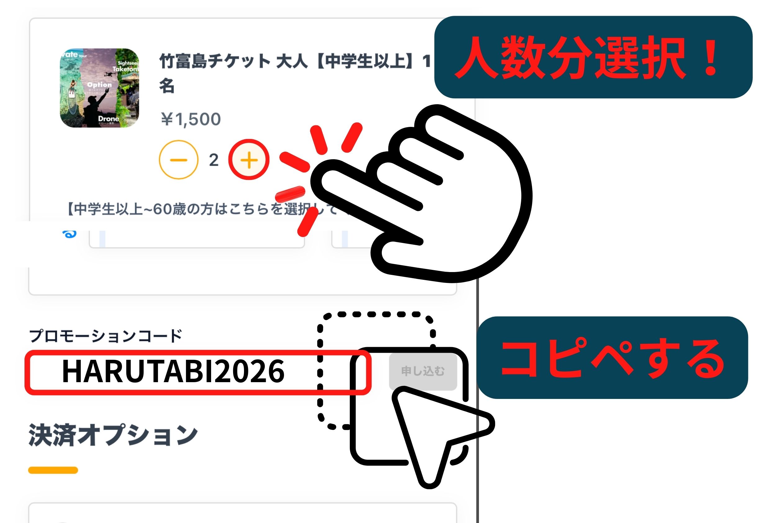 ステップ2：コードとオプション