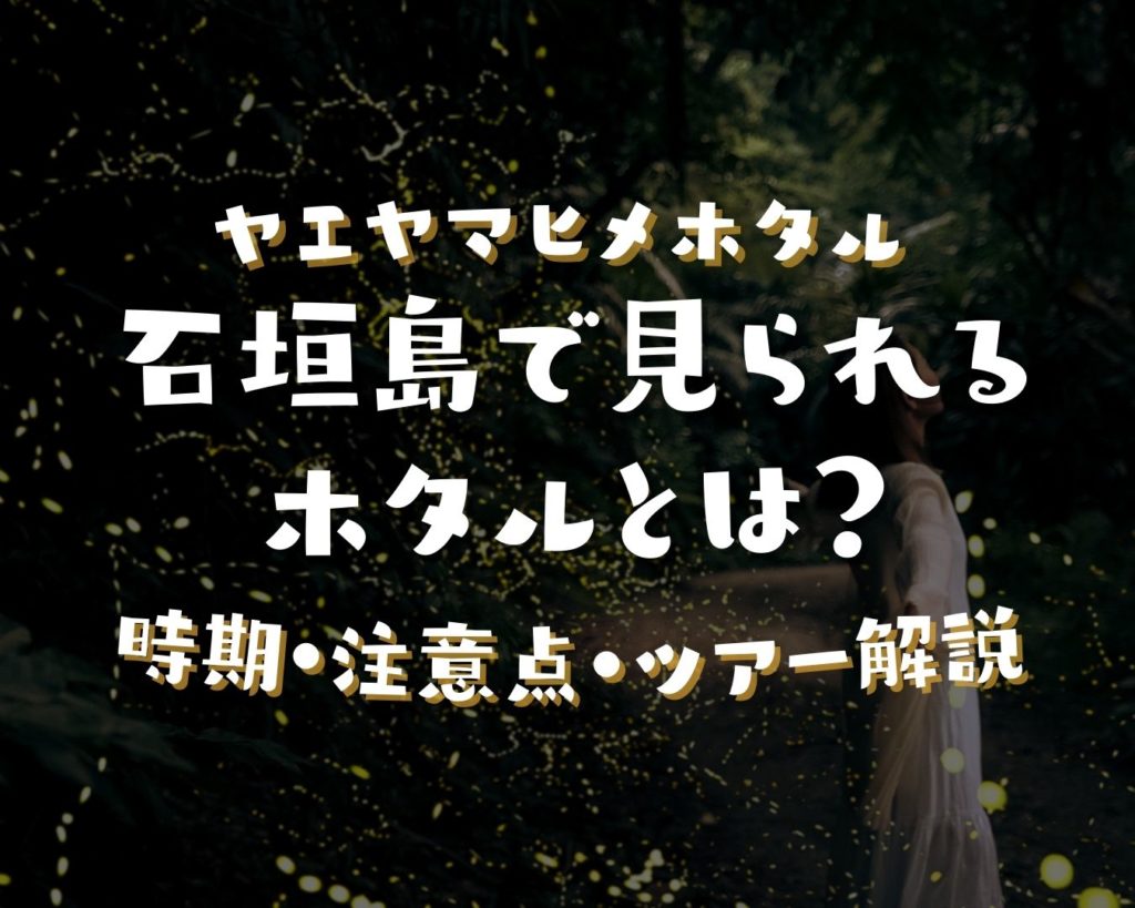 石垣島で春に見られるホタルとは?ヤエヤマヒメホタルの時期・注意点・ツアー解説