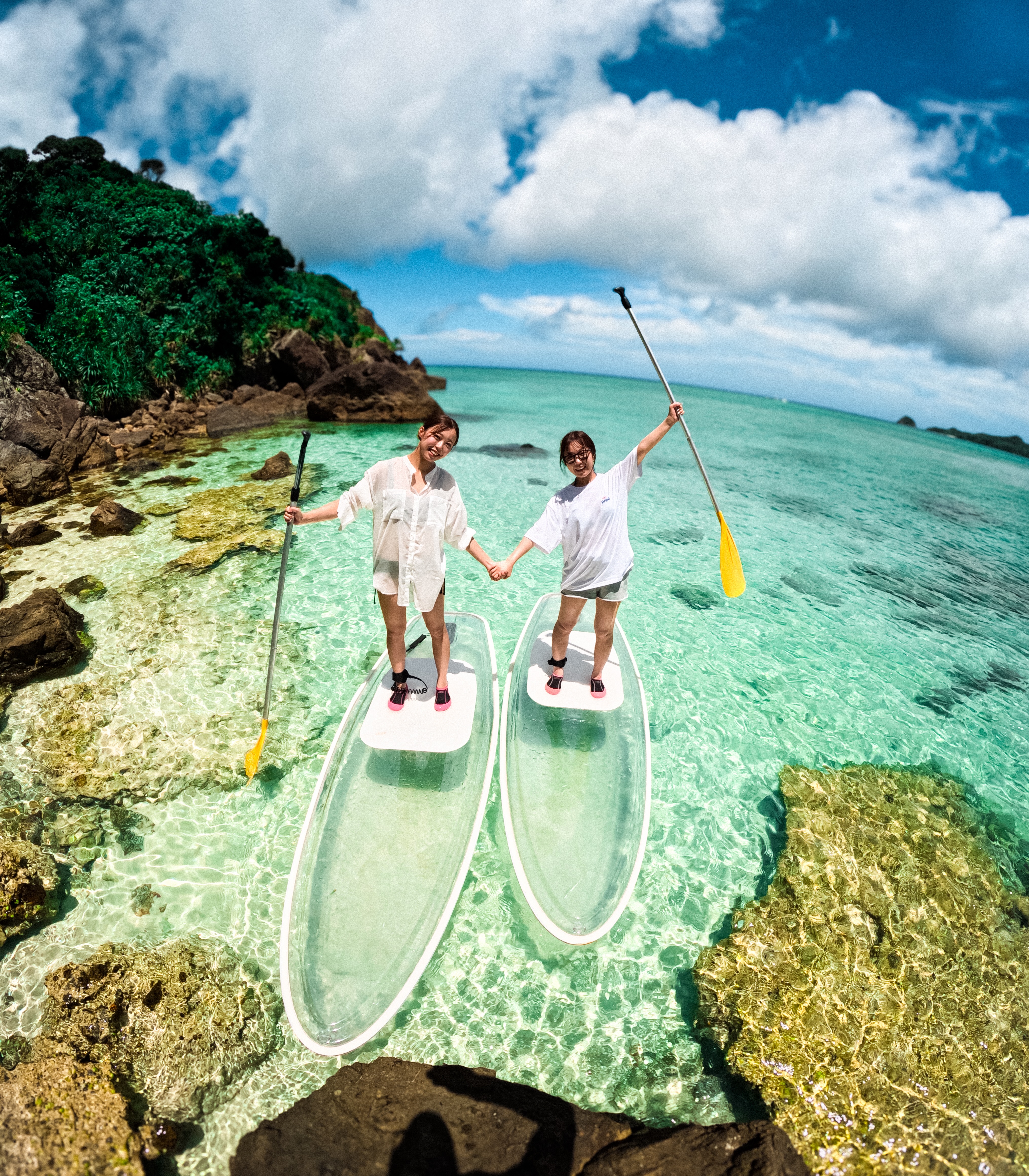 ウミガメとの遭遇