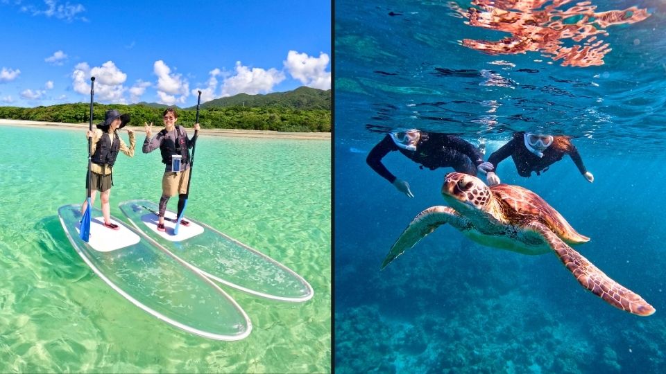 モデルコースA：【大満足の1日】シュノーケリング＆クリアSUPツアー