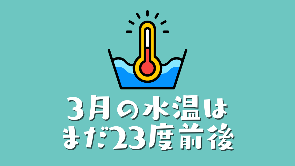 マーレスタッフ直伝のコツ:3月の水温はまだ23度前後