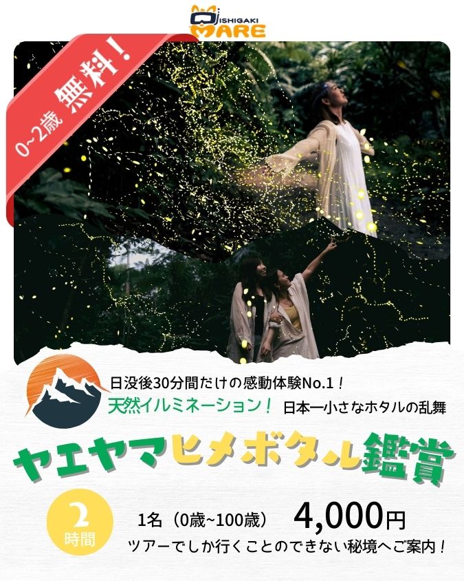 ヤエヤマヒメボタル鑑賞ツアー