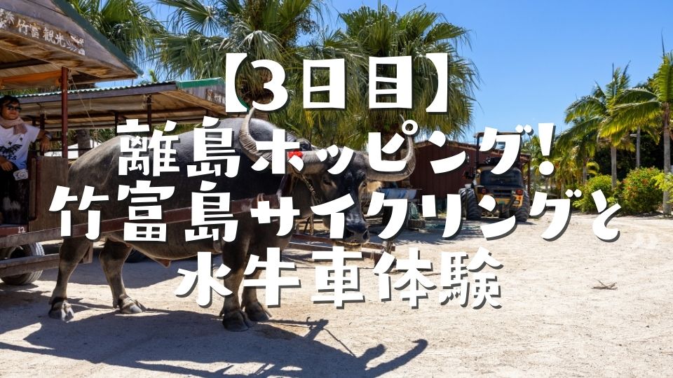 【3日目】離島ホッピング!竹富島サイクリングと水牛車体験