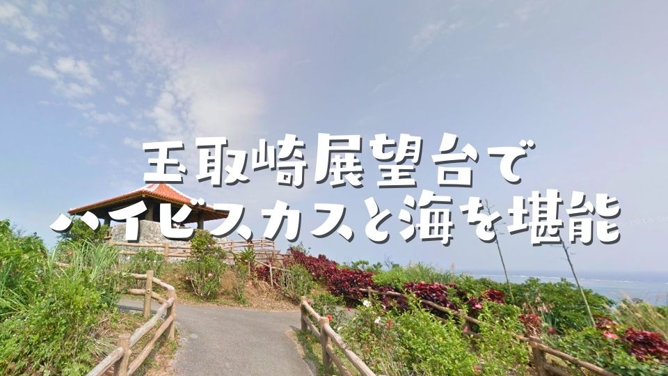 玉取崎展望台でハイビスカスと海を堪能