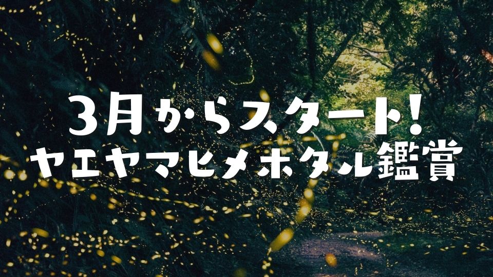 3月からスタート!ヤエヤマヒメホタル鑑賞の予約タイミング
