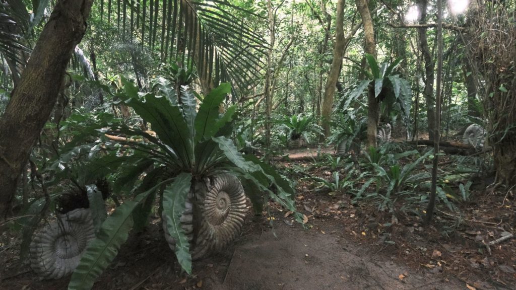 3. 森の主のような存在感「オオタニワタリ」