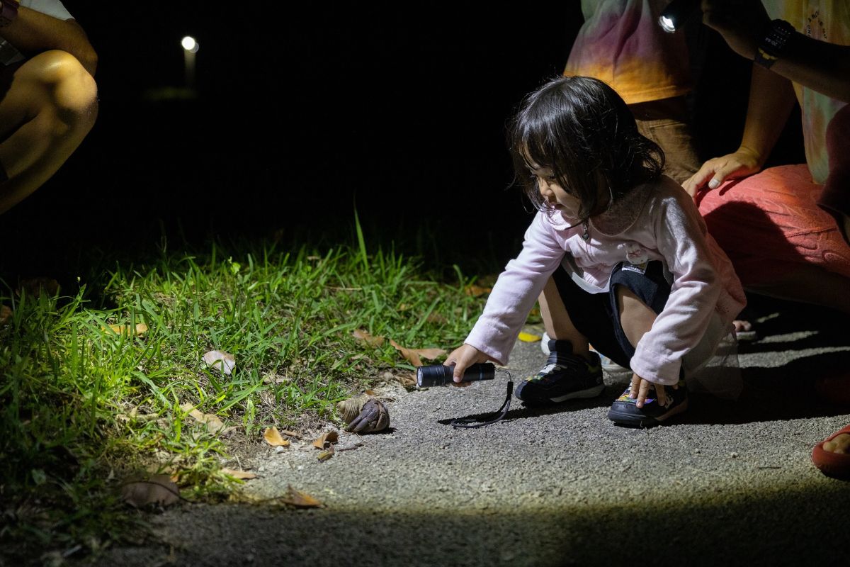 0歳から参加できる石垣島の大冒険