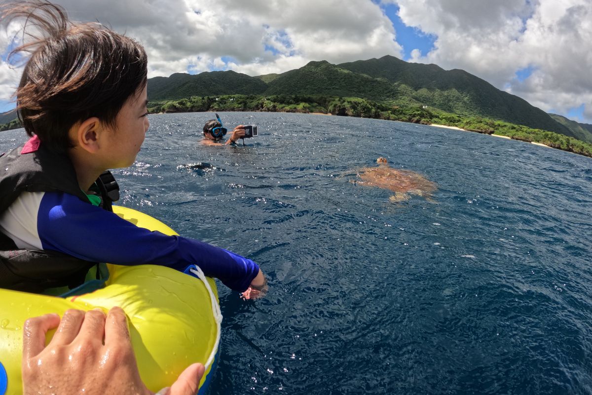 ウミガメと一緒に泳ぐ家族