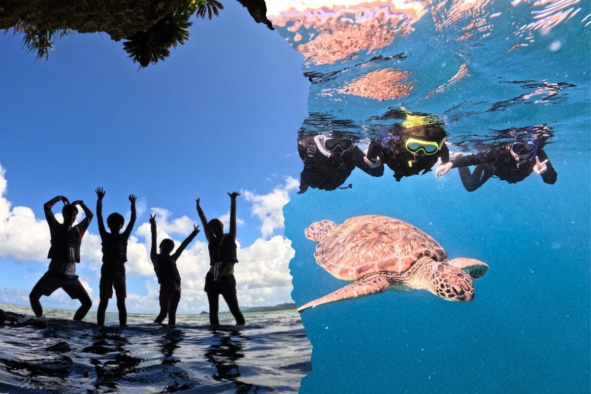 青の洞窟探検・ウミガメシュノーケリング