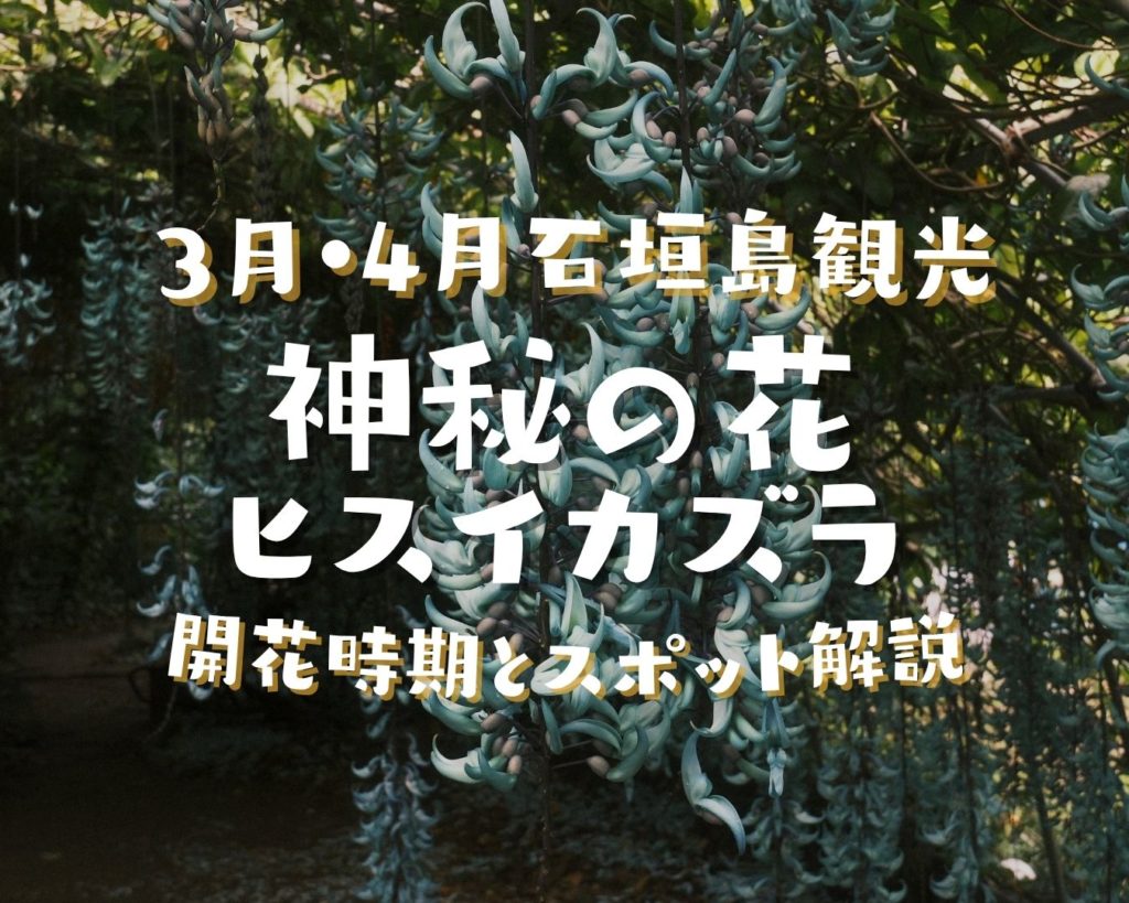 3月・4月の石垣島観光｜神秘の花ヒスイカズラの開花時期とスポット解説