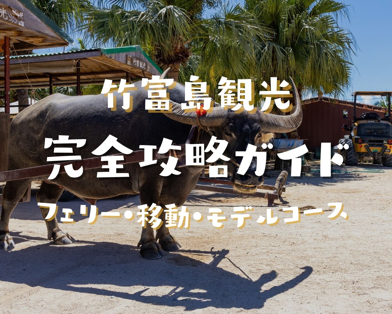 【最新】竹富島観光の完全攻略ガイド!フェリー・移動・モデルコース