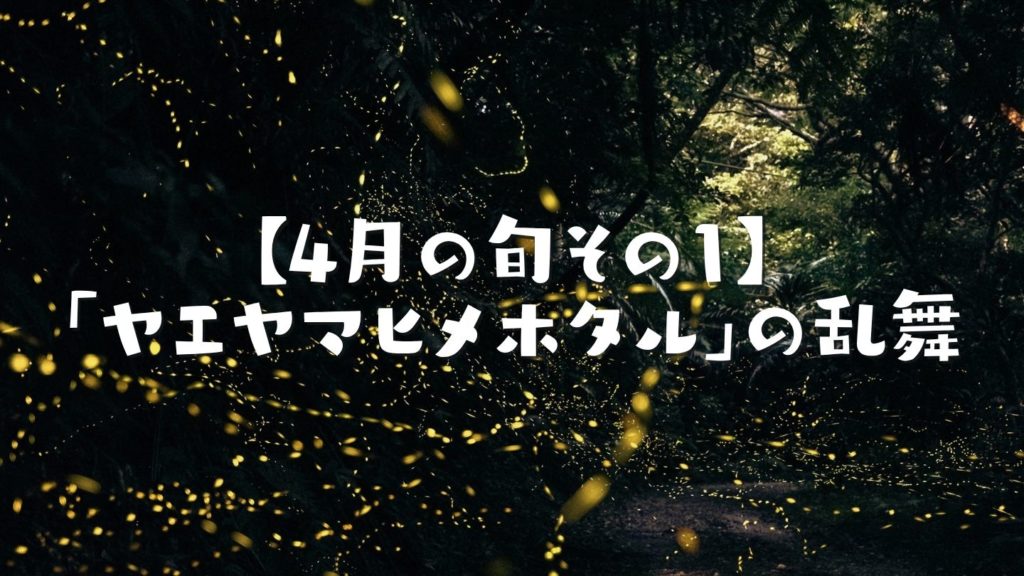 【4月の旬その1】夜の森が輝く「ヤエヤマヒメホタル」の乱舞