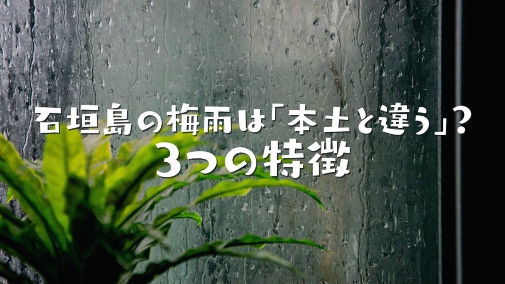 石垣島の梅雨は「本土と違う」?知っておきたい3つの特徴