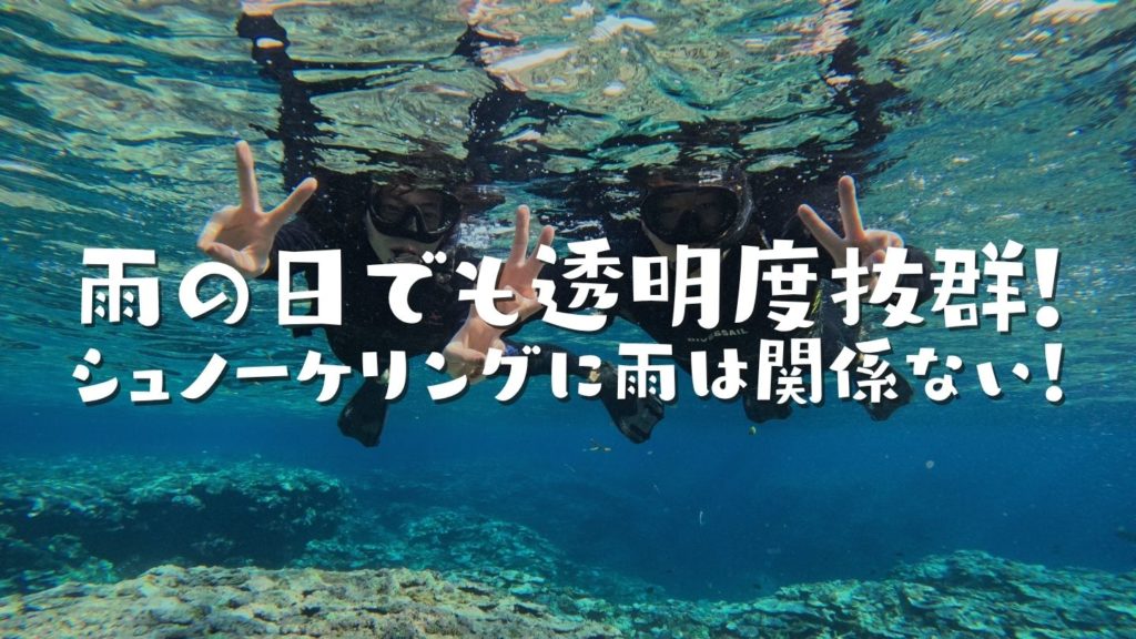 雨の日でも透明度抜群!シュノーケリングに雨は関係ない!